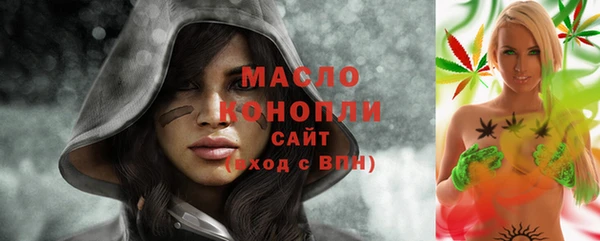 мет Няндома