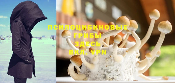 кристаллы Нягань