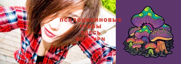 мет Няндома