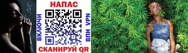 Конопля тримм Обнинск